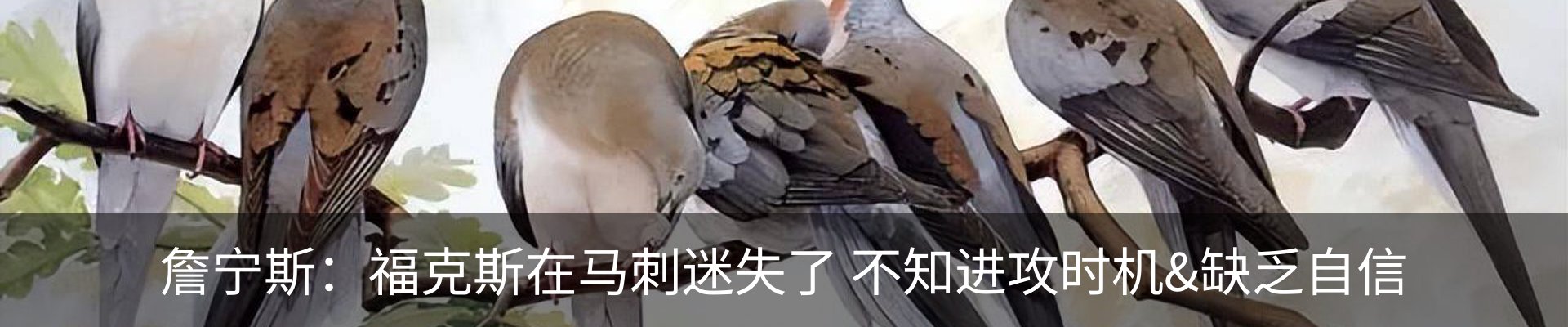 新闻中心